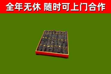 东方市回收海参